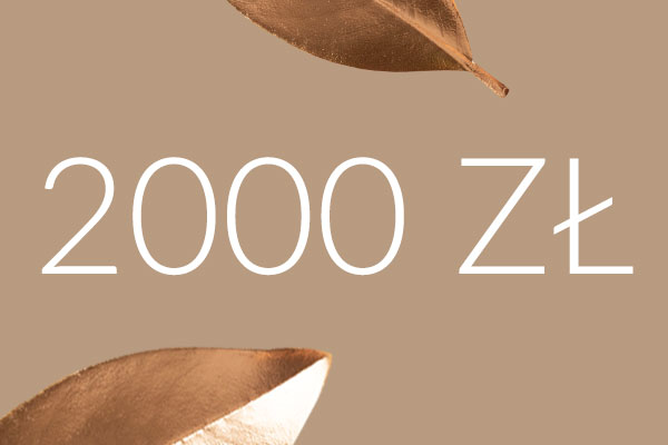 Voucher 2000 zł